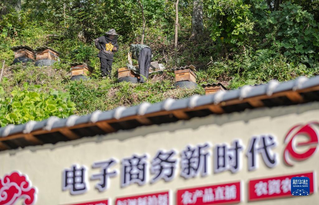 博一论坛白菜大全